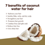 XHC Coconut Water Conditioner - 400 ml image