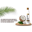 XHC Coconut Water Shampoo - 400 ml image