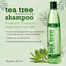 XHC Tea Tree Shampoo - 400 ml image