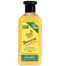 XHC Xpel Banana Shampoo 400ml image