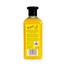 XHC Xpel Banana Shampoo 400ml image