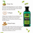 XPEL Green Tea Shampoo - 400 ml image