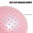 Yoga Ball- 75cm- Guty image