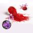 ZK Food Jafran Irani (Saffron) - 1gm image