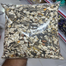  Expert Large Parakeet Parrot African Grey Parrot Seed Mix 1Kg image