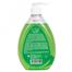 Goodmaid Care Hand Cleanser Apple - 500 ml image