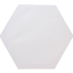  Hexagon Shape canvas 10 x 10 inch image