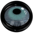  Ksseye Freshlady Pixie Blue Color Contact Lenses image