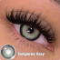  Ksseye Sem. Por. Na Gray Color Contact Lens With Lens Kit Box image