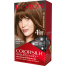  Revlon Colorsilk Beautiful Hair Color 43 Medium Golden Brown image