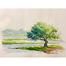 Mahmudur Rahman Rial Tree Watercolor Painting - (16x13) Inches image