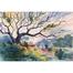 Mahmudur Rahman Rial Old Tree Watercolor Landscape - (16x13) Inches image