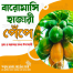 Baromasi (Pape) Papaya Seeds Intact Pack-0.25 gm image