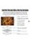 DDecorator Wooden Texture With Social Media Laptop Sticker image