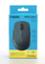 Rapoo Silent Multi-mode Wireless Mouse (M300) image
