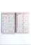Cittron Daily Planner - P01 image