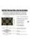 DDecorator Seamless Pattern Laptop Stickers image