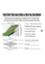 DDecorator Marble Texture Green Laptop Sticker image