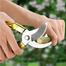 garden scissors/ Fruit tree pruning shears/ Bonsai pruners grafting cutter image