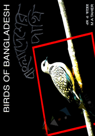 Bangladesher Pakhi