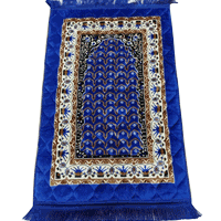Jaynamaz category image