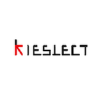 Kieslect image