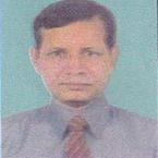 Dulal Bhowmik image