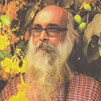 Sayed Tarik image