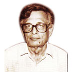 Irfan Habib image
