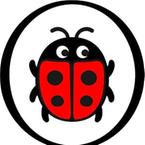 Ladybird image