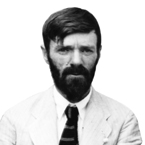 D. H. Lawrence image
