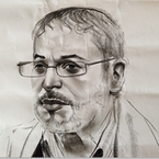 A.A. Shamis books