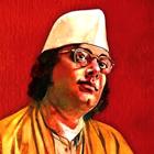 Kazi Nazrul Islam books