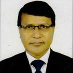 Ahmed Mowla image