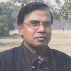 Manik Mahmud image