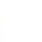 Marianne Corey image