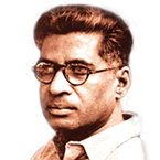 M N Ray image
