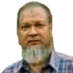 Muhammad Sanuar Hossen image