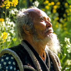 Masanobu Fukuoka image