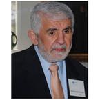 Mahmoud Ayoub image