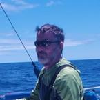 David Wheatley image