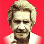 Noni Voumik books