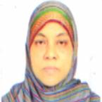 Prof. Dr. Rokshana Mili image