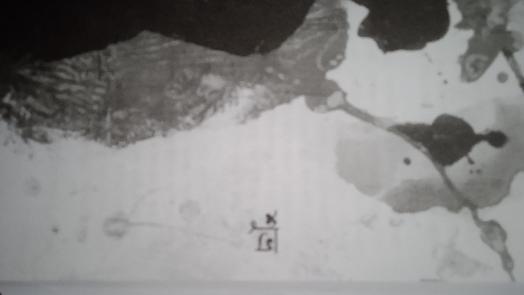 user-review-img