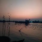 DM mamun