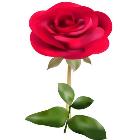 Md. Romjan Ali
