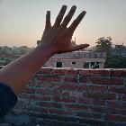 profile-pic