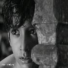 Musabbir Hossain