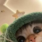 profile-pic