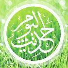 Muhammad-Moienul Islam